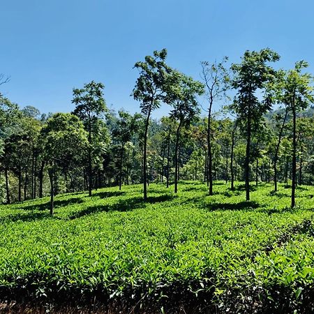 Cassells Jungle Resorts Thekkady Vandiperiyār Eksteriør bilde