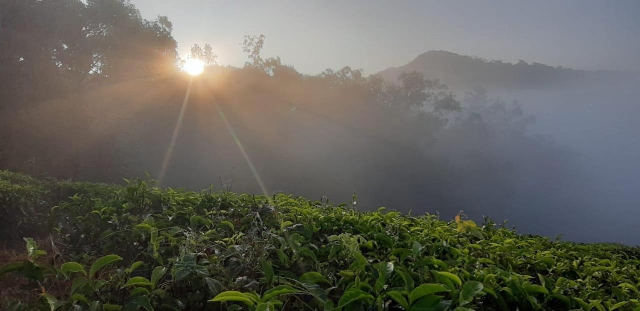 Cassells Jungle Resorts Thekkady Vandiperiyār Eksteriør bilde