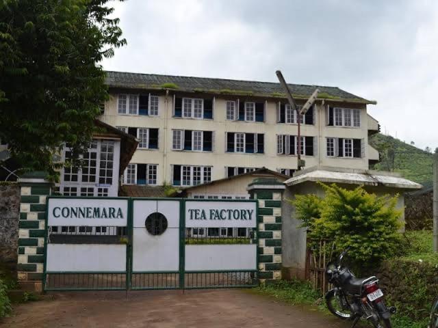 Cassells Jungle Resorts Thekkady Vandiperiyār Eksteriør bilde