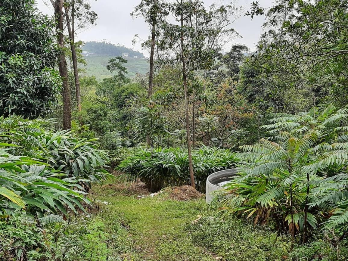 Cassells Jungle Resorts Thekkady Vandiperiyār Eksteriør bilde