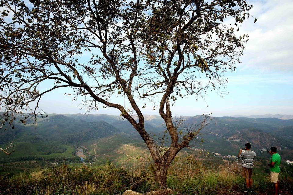 Cassells Jungle Resorts Thekkady Vandiperiyār Eksteriør bilde
