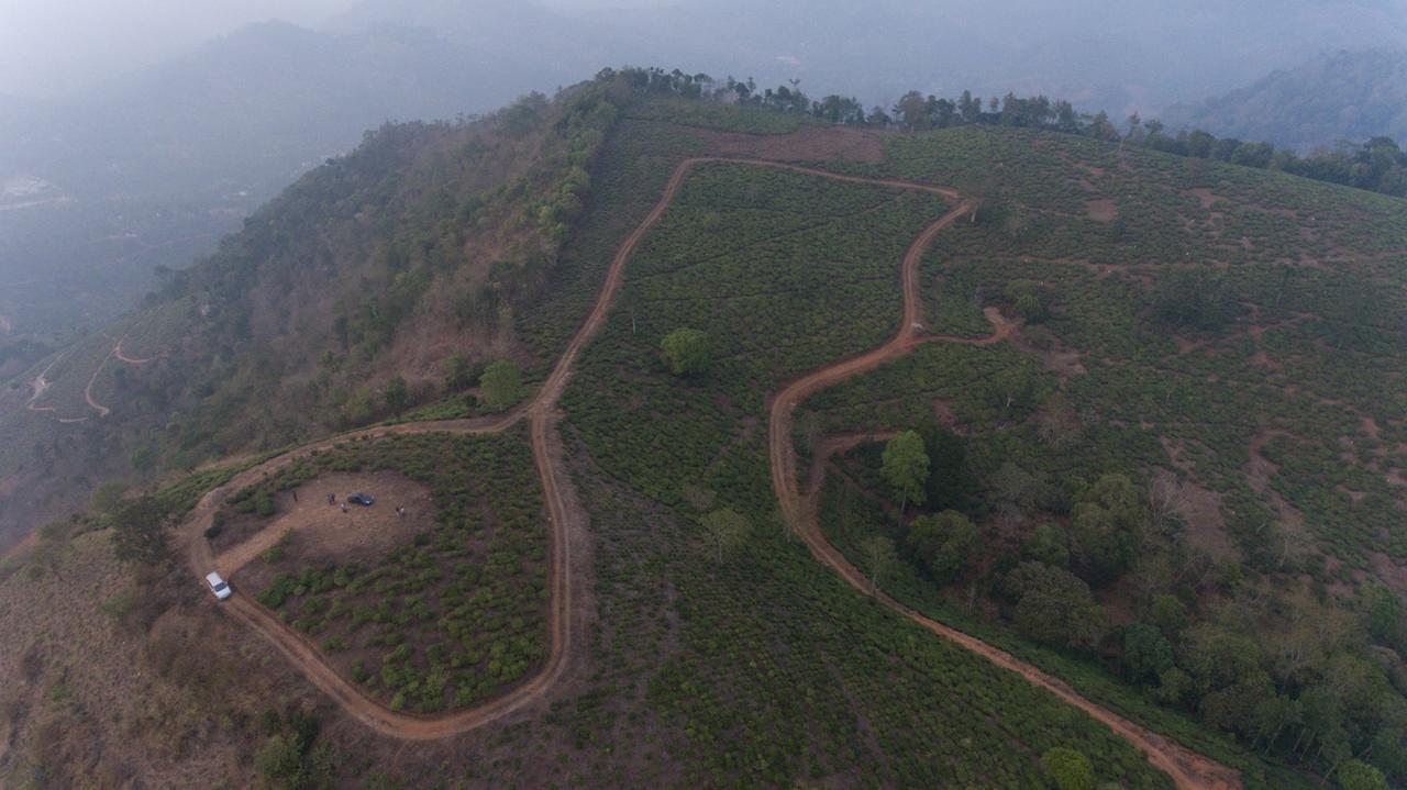 Cassells Jungle Resorts Thekkady Vandiperiyār Eksteriør bilde