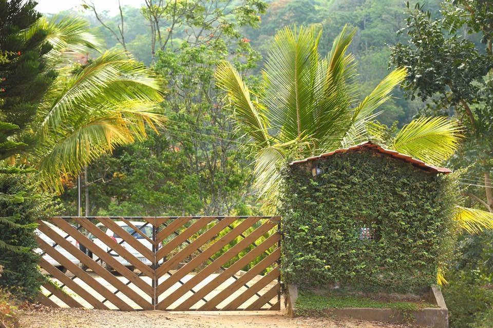 Cassells Jungle Resorts Thekkady Vandiperiyār Eksteriør bilde